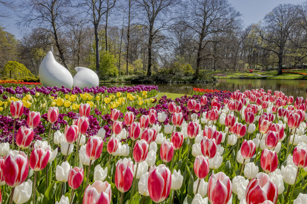 Keukenhof